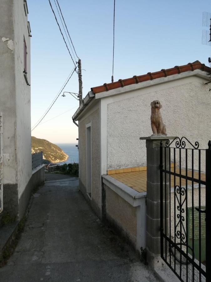 Sentieri Sul Mare Villa Moneglia Bagian luar foto