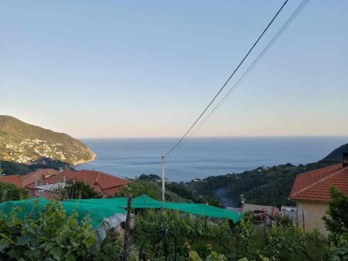 Sentieri Sul Mare Villa Moneglia Bagian luar foto